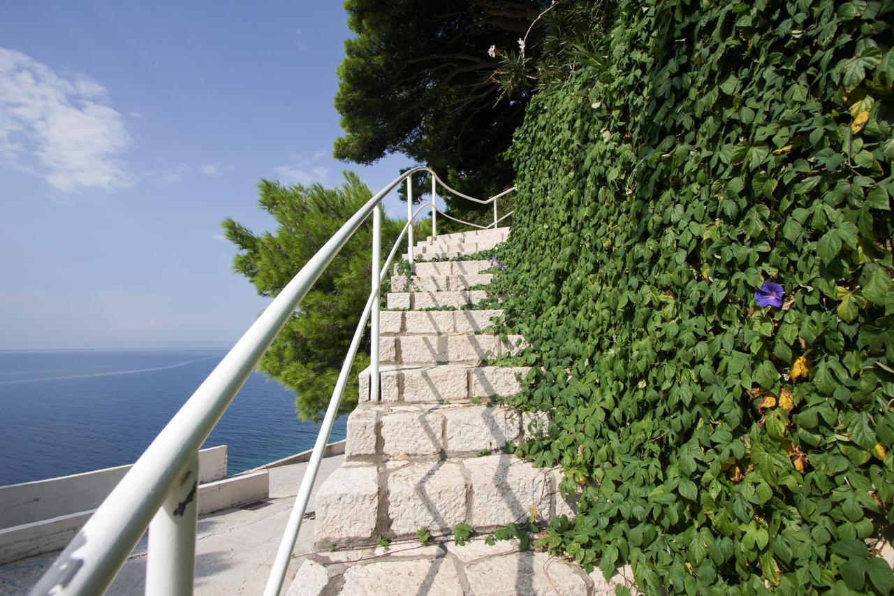 Apartments Nadia Igrane Εξωτερικό φωτογραφία