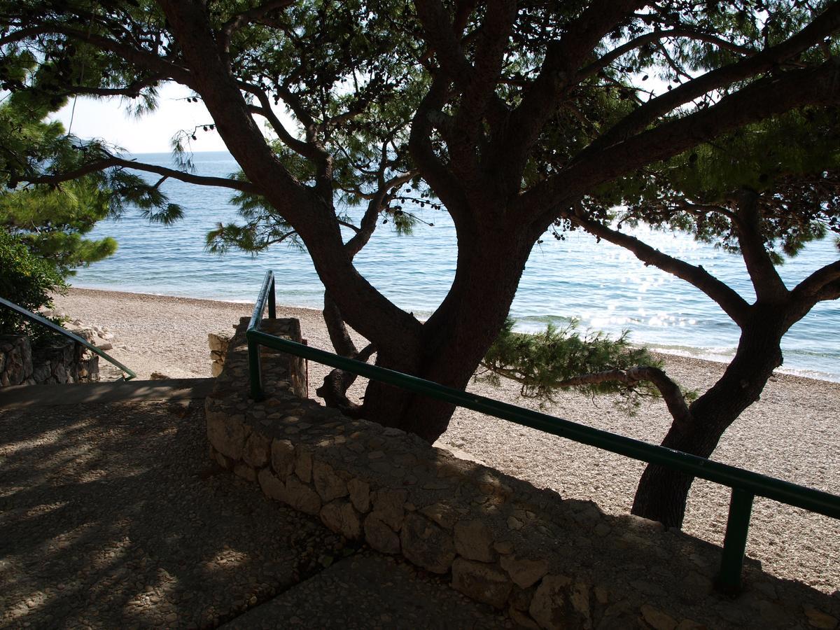Apartments Nadia Igrane Εξωτερικό φωτογραφία