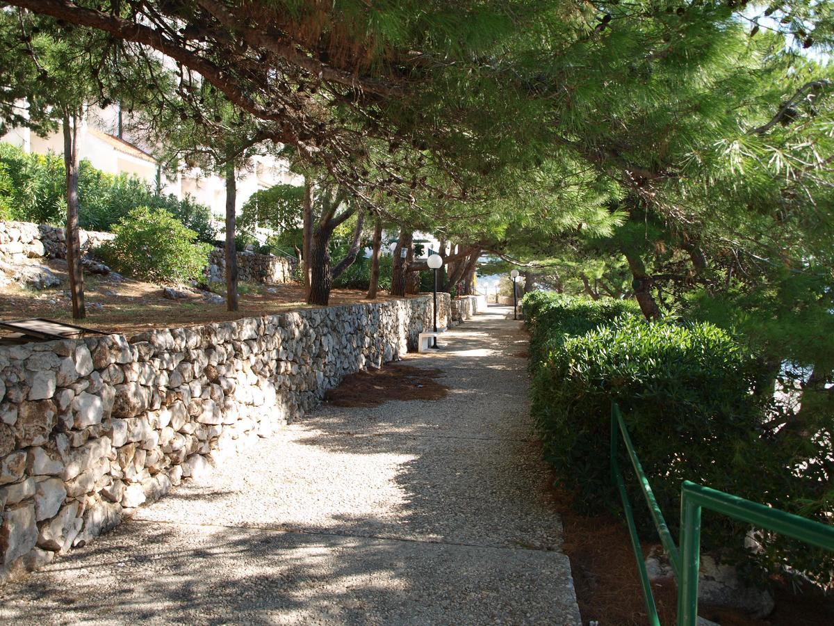 Apartments Nadia Igrane Εξωτερικό φωτογραφία