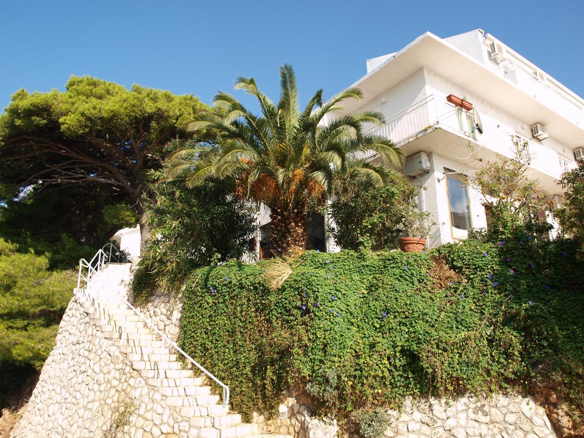 Apartments Nadia Igrane Εξωτερικό φωτογραφία
